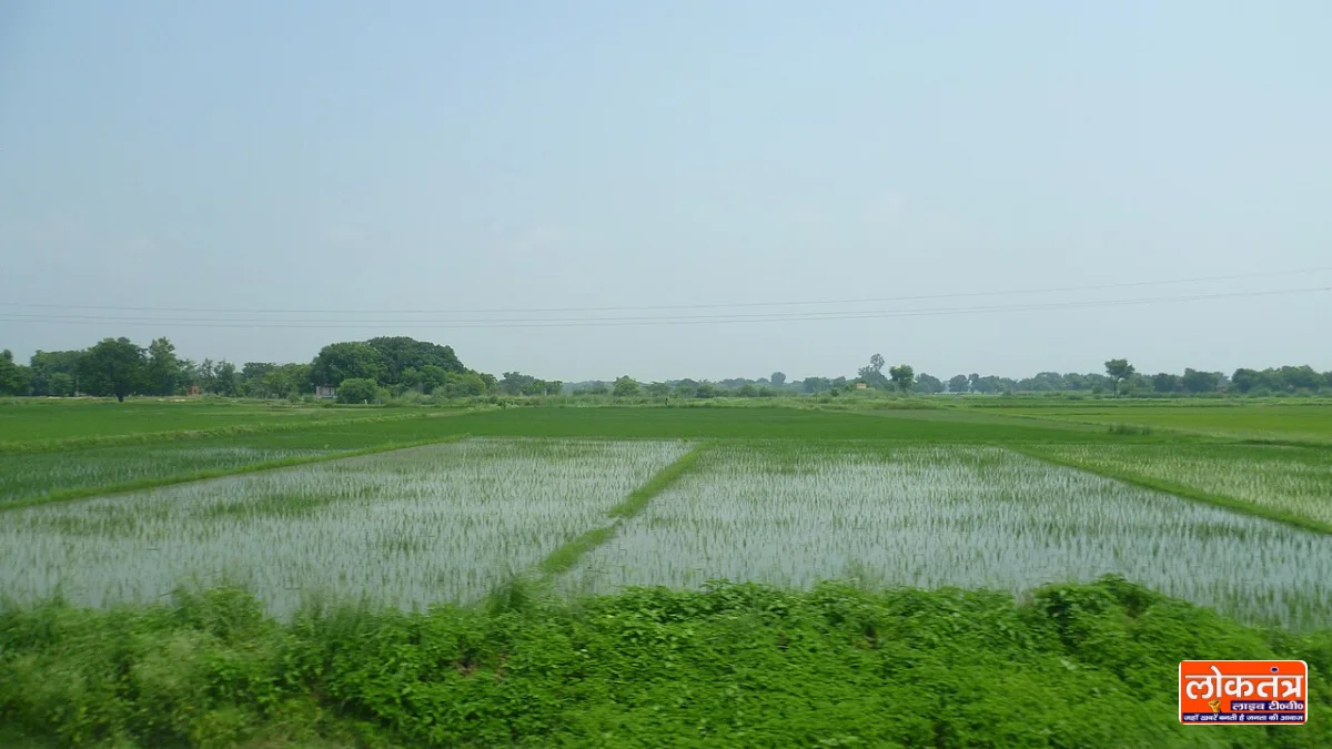 रायबरेली: उफान पर सई नदी, बरचंदा गांव के पास 200 बीघा धान की फसल डूबी