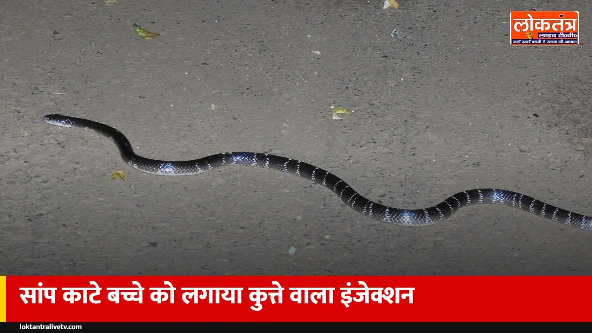 संभल: सांप ने काटा, अस्पताल ने लगा दिया एंटी रेबीज इंजेक्शन; 10 दिन वेंटिलेटर पर रहा बच्चा