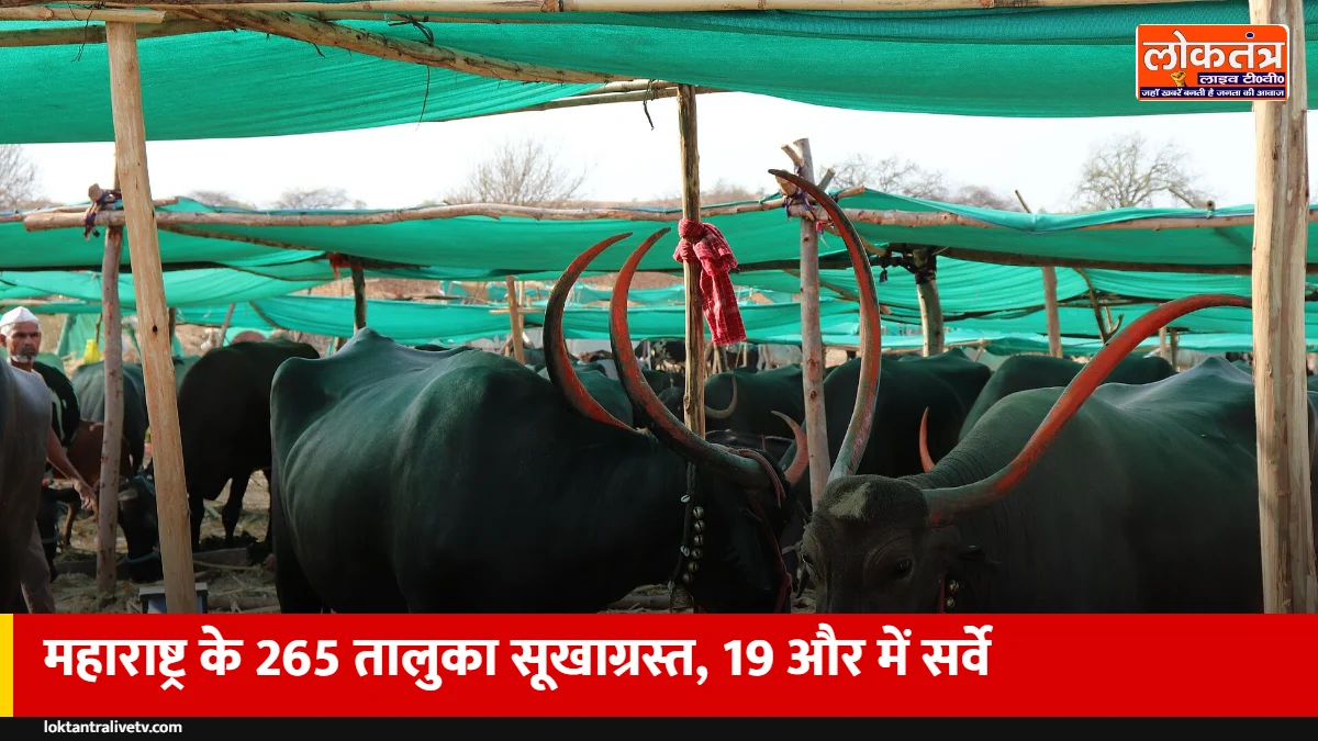 महाराष्ट्र में सूखे का संकट: 265 तालुका सूखाग्रस्त घोषित, 19 और तालुकाओं में सर्वे के आदेश