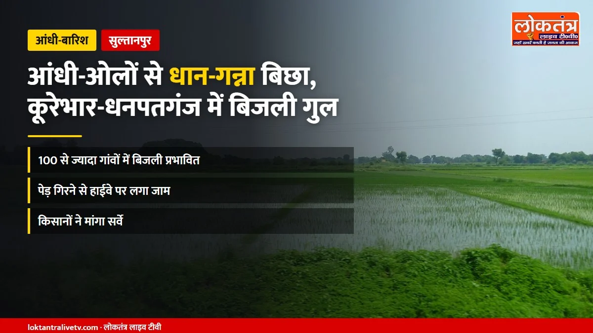 सुल्तानपुर: आंधी-ओलों से धान-गन्ना बिछा, कूरेभार-धनपतगंज में 100 से ज्यादा गांवों की बिजली गुल