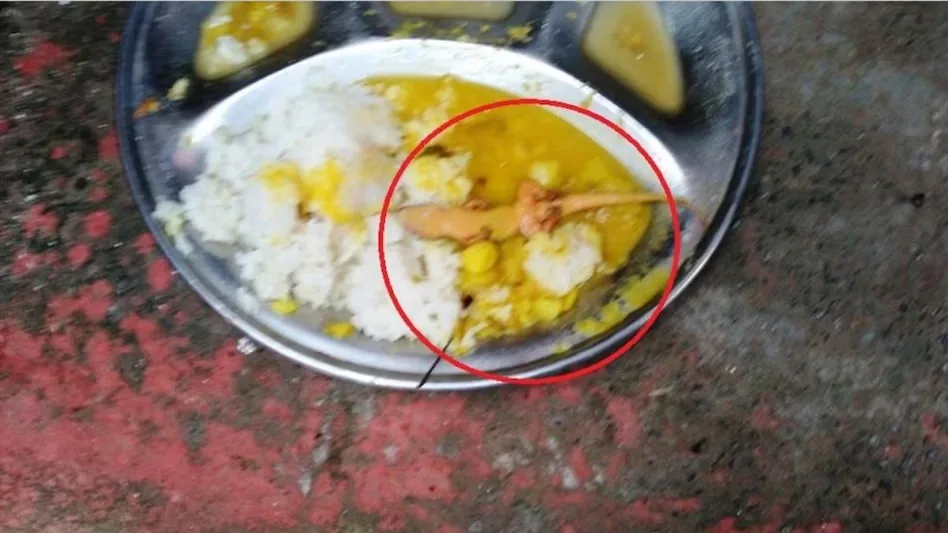 राजस्थान: मिड-डे मील में छिपकली मिलने से हड़कंप, 36 से ज्यादा बच्चे बीमार