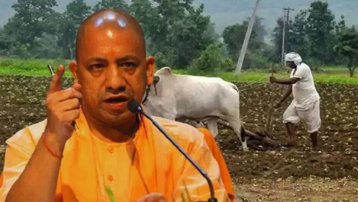 यूपी के 9.18 लाख किसानों को बड़ी राहत, CM योगी जारी करेंगे 483 करोड़ रुपये का कृषि अनुदान