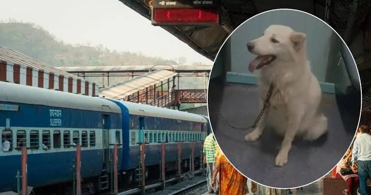 ट्रेन के गेट पर खड़े यात्रियों पर भौंकने लगा कुत्ता, वीडियो देख लोग बोले- रेलवे में नौकरी दे दो!