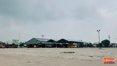 पंजाब में धान की सरकारी खरीद शुरू, केंद्र ने 42,786 करोड़ की कैश क्रेडिट लिमिट मंजूर की