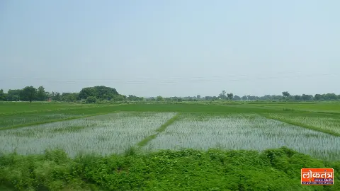 रायबरेली: उफान पर सई नदी, बरचंदा गांव के पास 200 बीघा धान की फसल डूबी