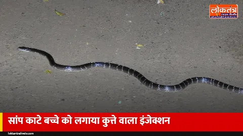 संभल: सांप ने काटा, अस्पताल ने लगा दिया एंटी रेबीज इंजेक्शन; 10 दिन वेंटिलेटर पर रहा बच्चा