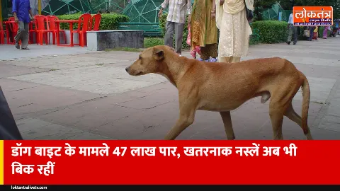 देश में कुत्तों के काटने के मामले 3 साल में 17 लाख बढ़े, प्रतिबंध के बावजूद बिक रहीं खतरनाक नस्लें