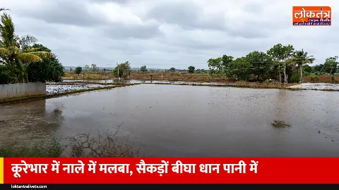 कूरेभार-मंझुई नाले में पुल का मलबा, जल निकासी ठप; 11 गांवों में सैकड़ों बीघा धान डूबा