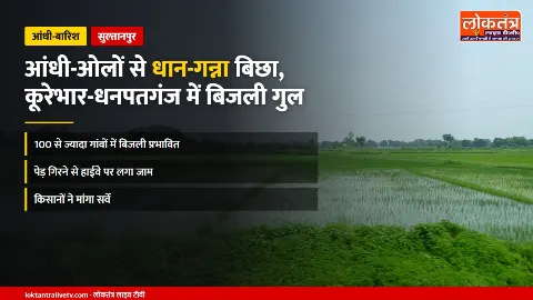 सुल्तानपुर: आंधी-ओलों से धान-गन्ना बिछा, कूरेभार-धनपतगंज में 100 से ज्यादा गांवों की बिजली गुल
