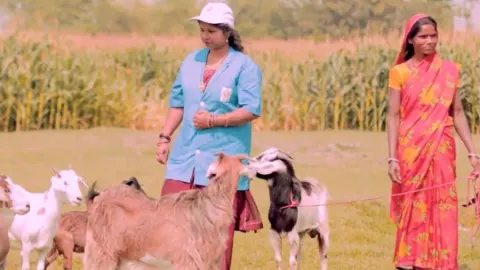 बिहार की 8,992 ‘डॉक्टर दीदियां’ बदल रहीं गांवों की तस्वीर, पशु सखी बनकर महिलाओं ने हासिल की नई पहचान