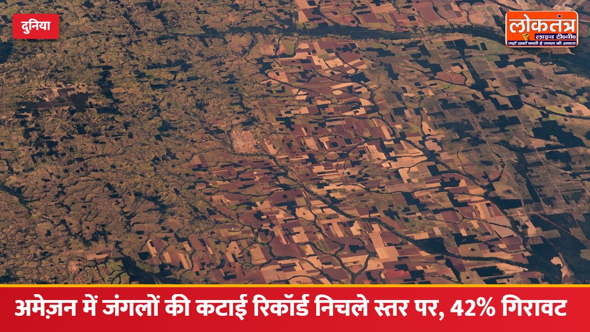 अमेज़न में जंगलों की कटाई रिकॉर्ड निचले स्तर पर, एक साल में 42% की गिरावट