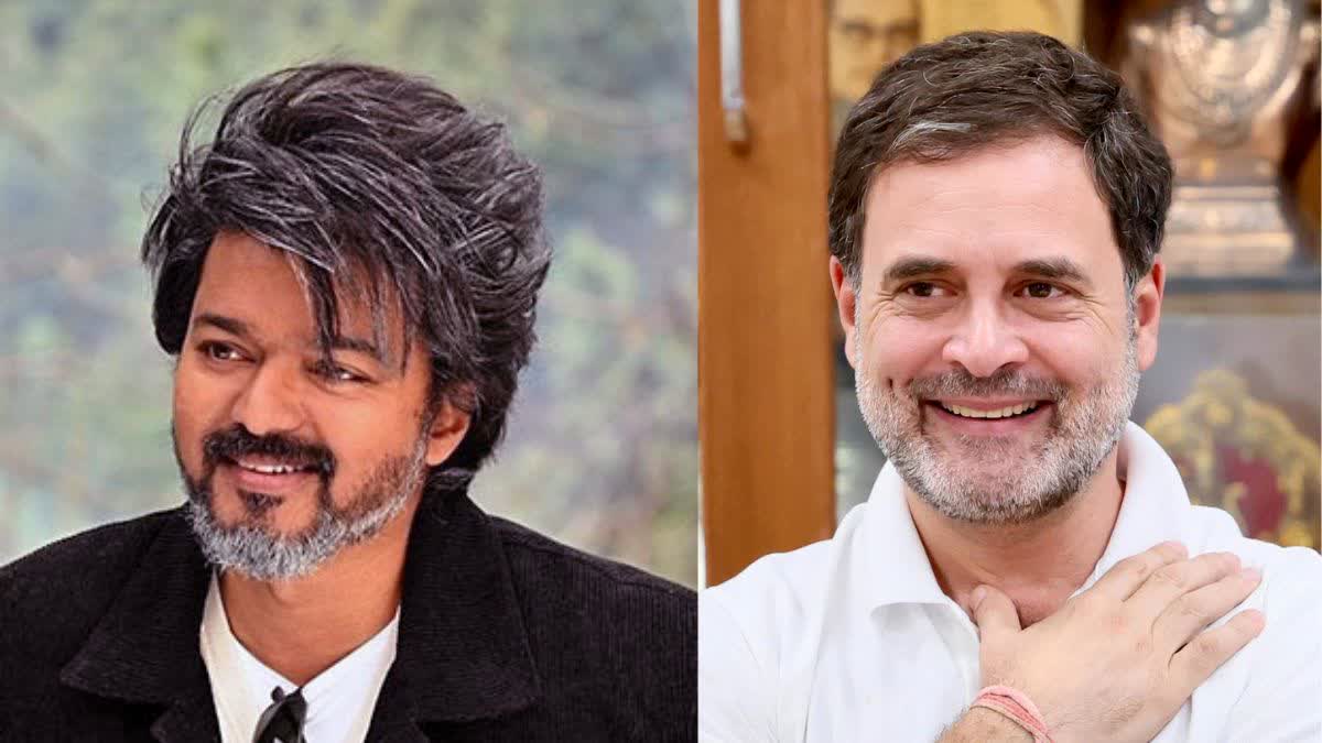 "राहुल गांधी ने अभिनेता विजय के समर्थन में उठाया आवाज़, ‘जन नायगन’ फिल्म पर सेंसर बोर्ड रोक को तमिल संस्कृति पर हमला बताया"