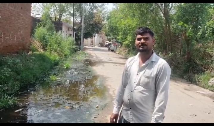 चोक नाले, बजबजाती गलियां और जलभराव से संक्रमण का खतरा बढ़ा।