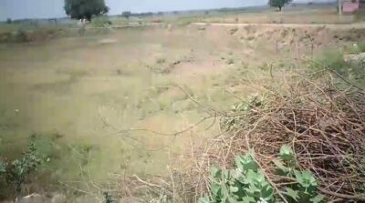 भदेख दिवारा के किसानों ने ओला वृष्टि से हुई फसलों के नुकसान के संबंध में लेखपाल नीतू यादव पर भ्रष्टाचार के लगाए गंभीर आरोप,