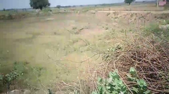 भदेख दिवारा के किसानों ने ओला वृष्टि से हुई फसलों के नुकसान के संबंध में लेखपाल नीतू यादव पर भ्रष्टाचार के लगाए गंभीर आरोप,