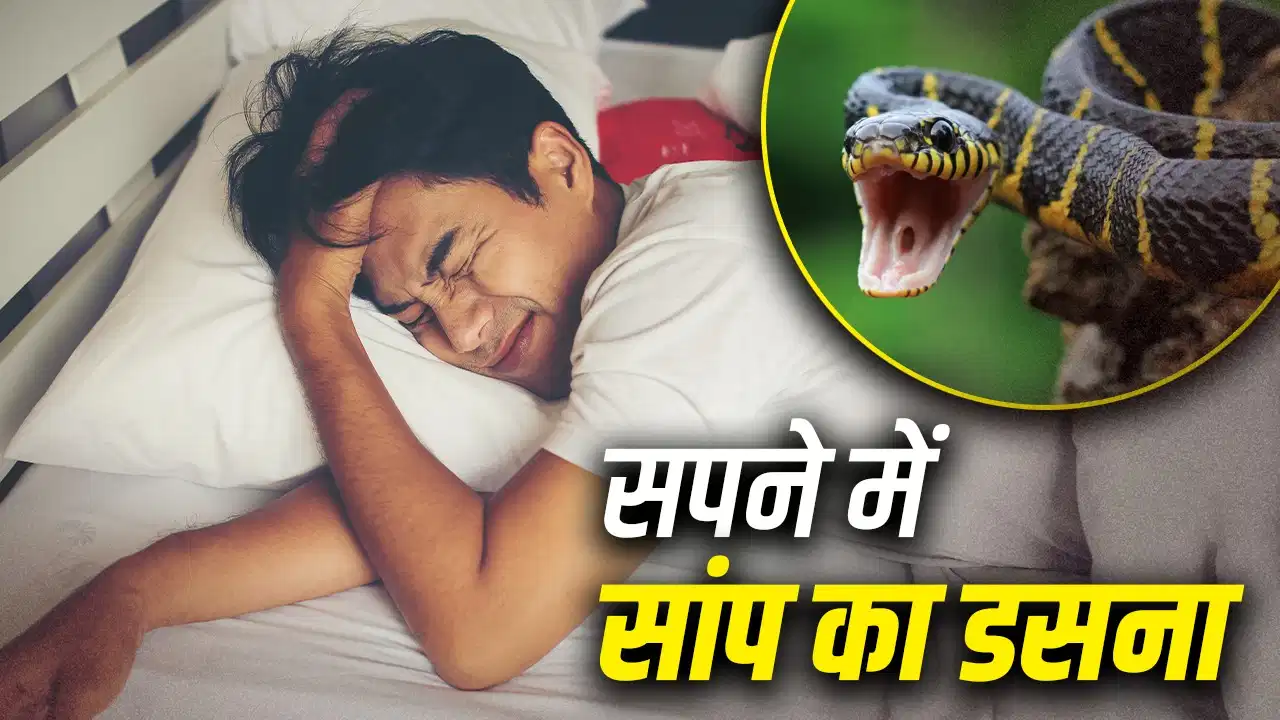 Swapna Shastra: सपने में सांप के काटने का क्या होता है मतलब? जानें शुभ-अशुभ संकेत