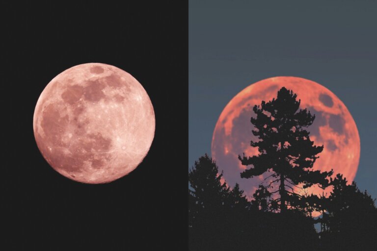 🌕 Strawberry Moon 2026: आसमान में दिखेगा साल का सबसे खूबसूरत “स्ट्रॉबेरी मून”