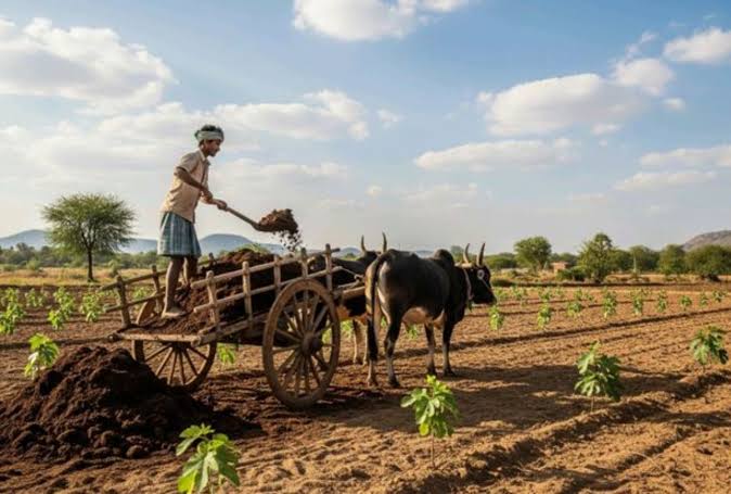 Cow Dung Export: दुनिया के कितने देशों को गोबर बेचता है भारत? जानिए हर महीने कितनी होती है कमाई
