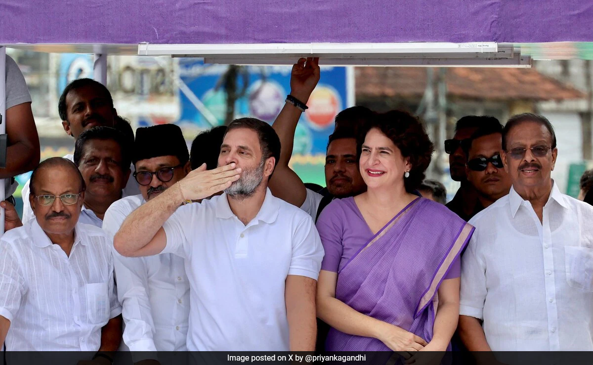 राहुल गांधी के जन्मदिन पर 'कॉकरोच जनता पार्टी' का अनोखा संदेश, सोशल मीडिया पर चर्चा तेज