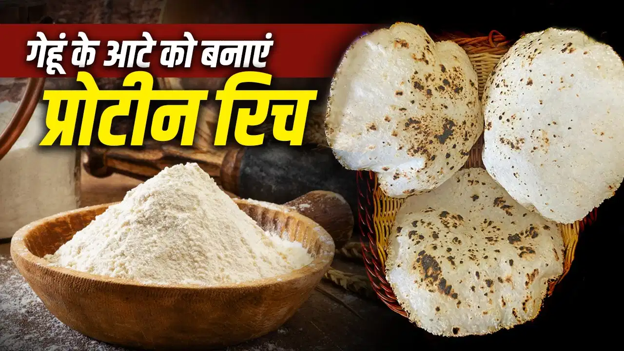 Protein Rich Wheat Roti: गेहूं की रोटी को बनाएं प्रोटीन से भरपूर, बस आटे में मिला लें ये 3 चीजें