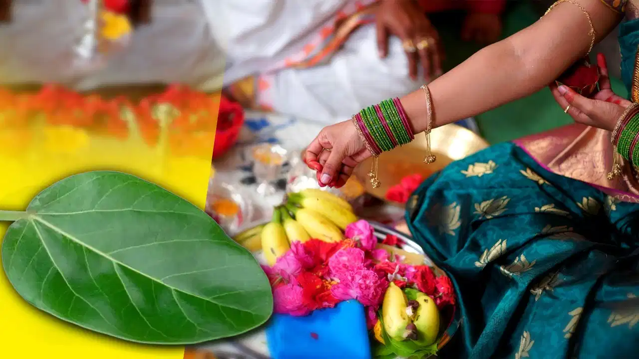 पूजा में वट वृक्ष का पत्ता हर देवता को क्यों नहीं चढ़ाया जाता? जानिए धार्मिक मान्यता