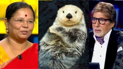 KBC 18 में 12.50 लाख के सवाल पर अटकीं स्कूल प्रिंसिपल, जानिए सही जवाब